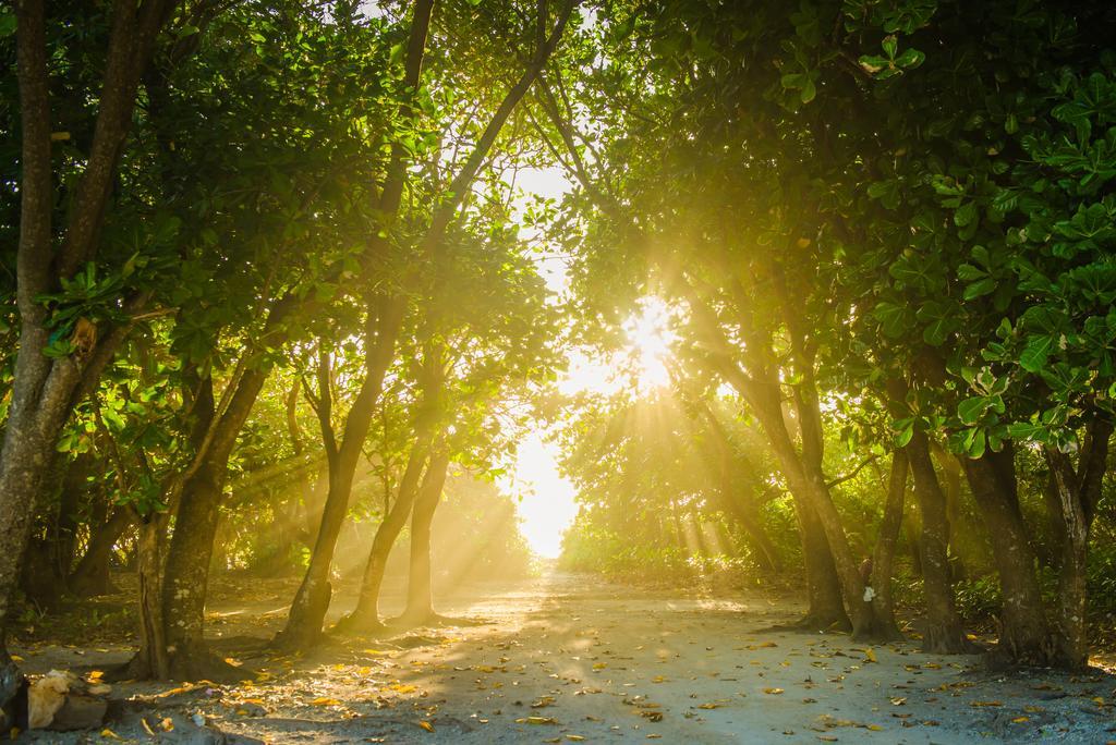 Pebbles Inn Addu City Luaran gambar